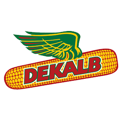 Dekalb